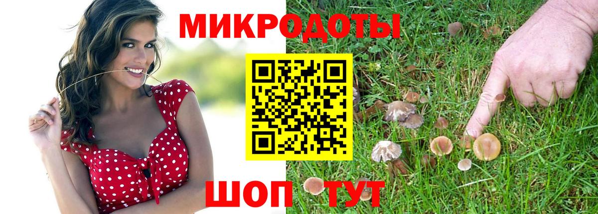Псилоцибиновые грибы GOLDEN TEACHER  Вход с VPN  продажа наркотиков  Саянск  Псилоцибиновые грибы мухоморы 